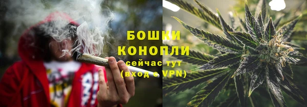 ГАЛЛЮЦИНОГЕННЫЕ ГРИБЫ Краснослободск