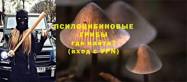 ГАЛЛЮЦИНОГЕННЫЕ ГРИБЫ Краснослободск