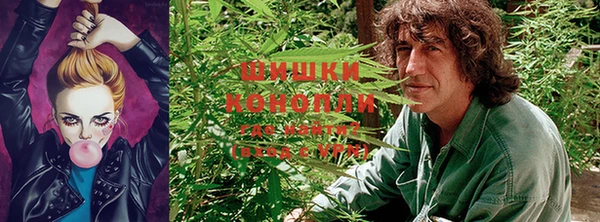 ГАЛЛЮЦИНОГЕННЫЕ ГРИБЫ Краснослободск