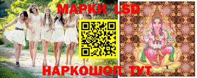 прущие грибы Обнинск