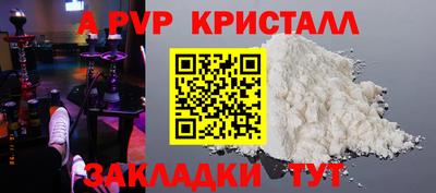 прущие грибы Обнинск