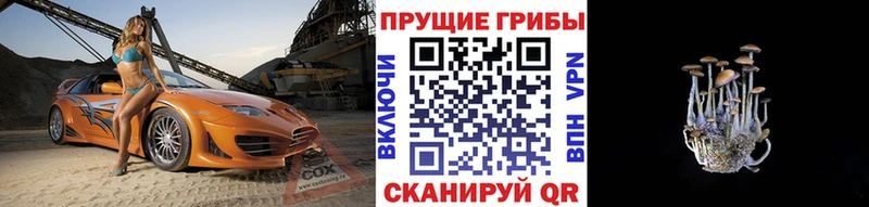 Псилоцибиновые грибы GOLDEN TEACHER  где продают   KRAKEN как зайти  Ноябрьск 