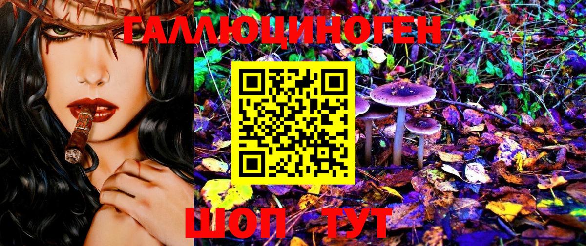 Псилоцибиновые грибы ЛСД  Галлюциногенные грибы MAGIC MUSHROOMS  Вход с VPN  сколько стоит  Ноябрьск 