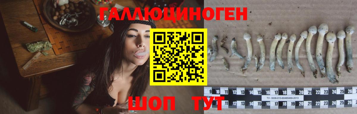 Галлюциногенные грибы Magic Shrooms Ноябрьск